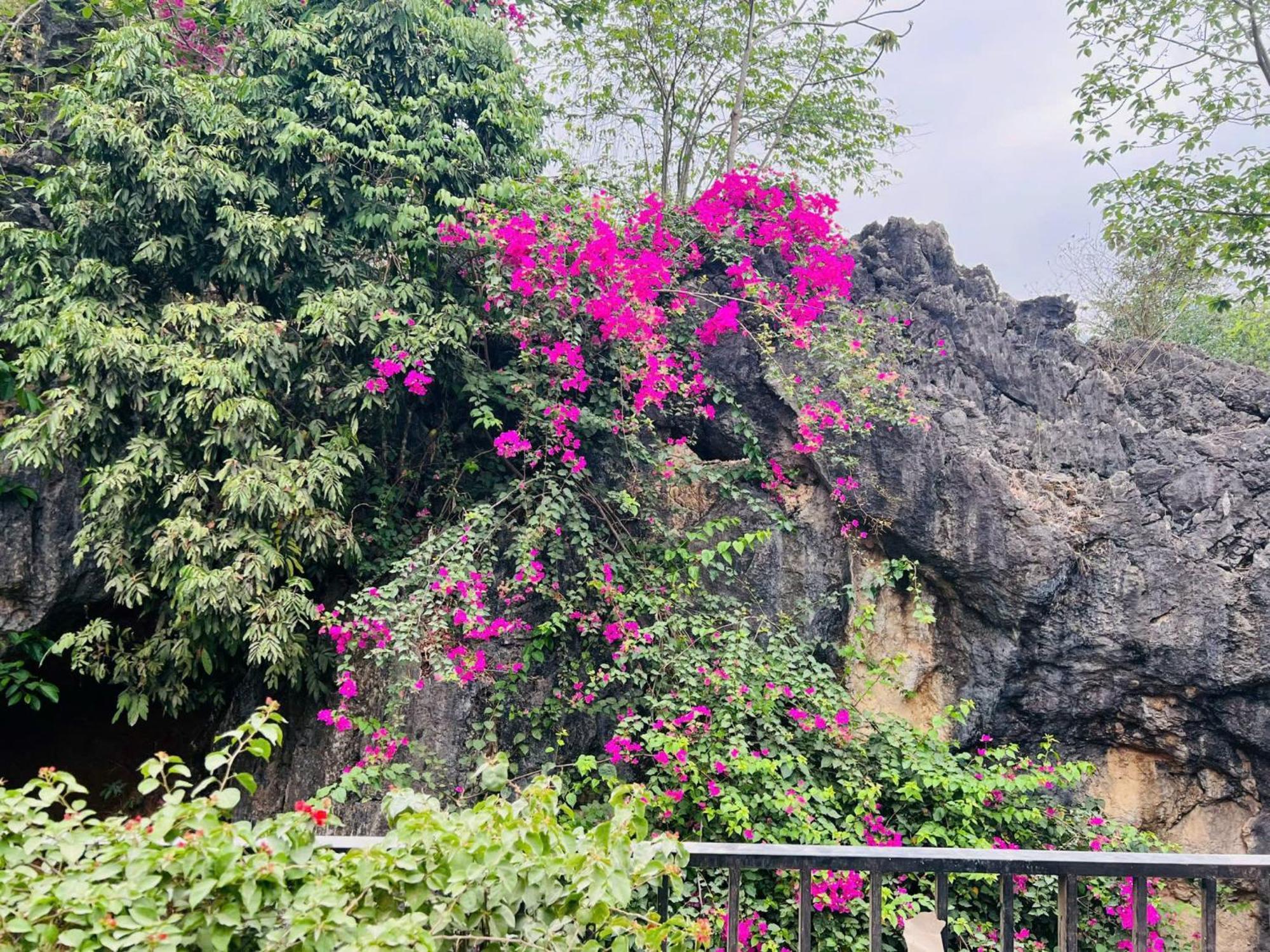 Mai Chau 4 Seasons Bungalow & Hotel Экстерьер фото